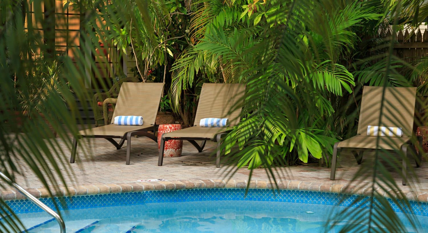 Circular pool with brown lounge chairs with striped towels surrounded by dense greenery