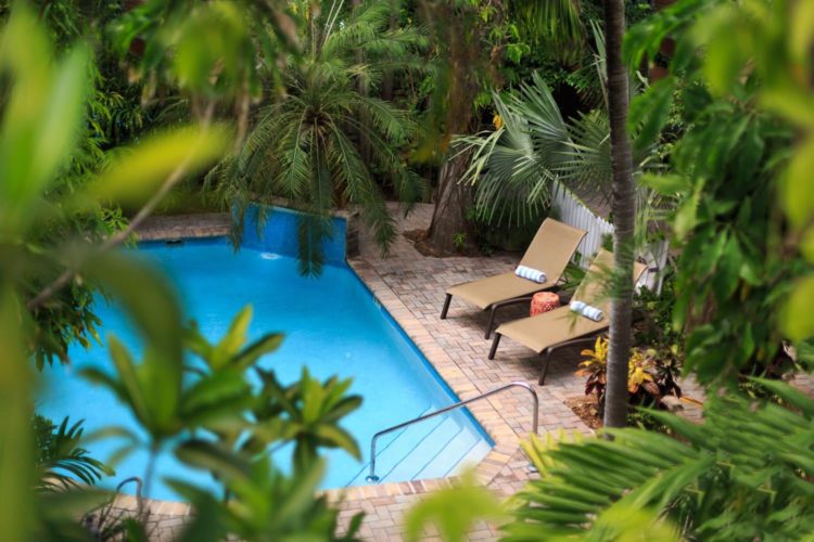 View from pool from 2nd story which has lounge chairs surrounded by dense greenery with blue and white towels