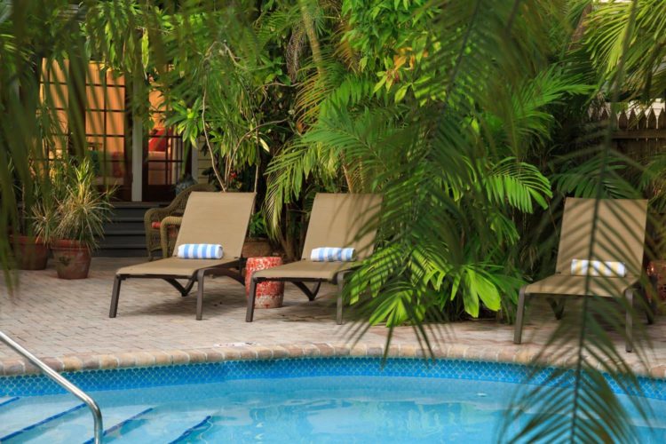 Pool surrounded by greenery and lounge chairs with blue and white towels on chairs