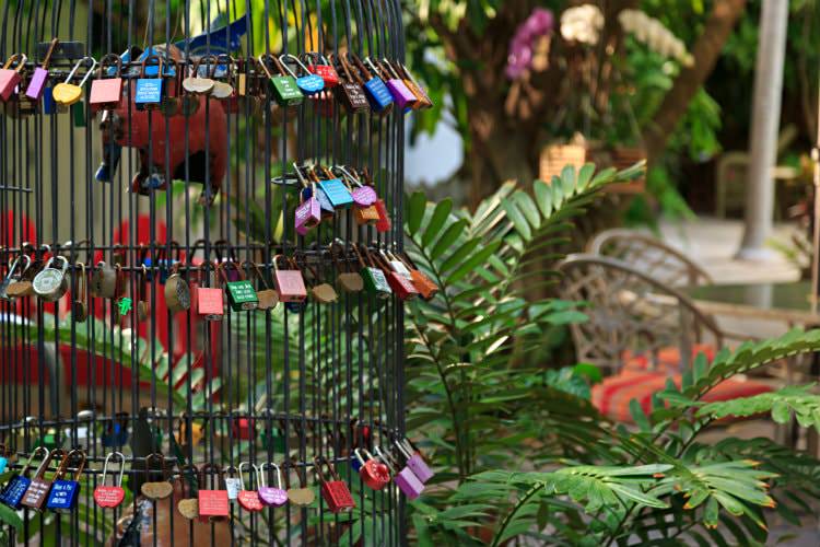 Metal cage with variety of locks with ferns and chairs with red cushions