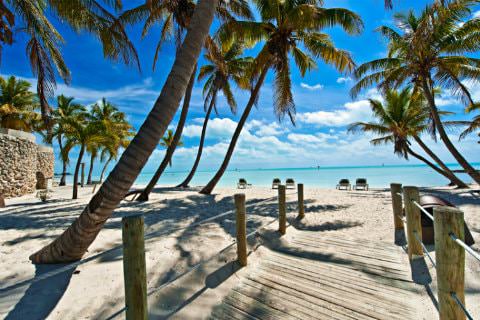 Wooden bridge with rope handrails surrounded by palm trees on beach ocean and clear blue sky in background