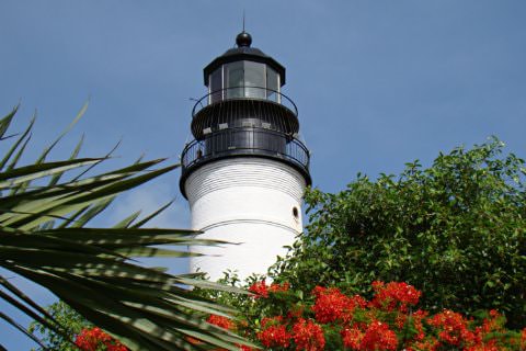 White and black lighthouse surrounded by lush tropical plants and flowers and blue skies