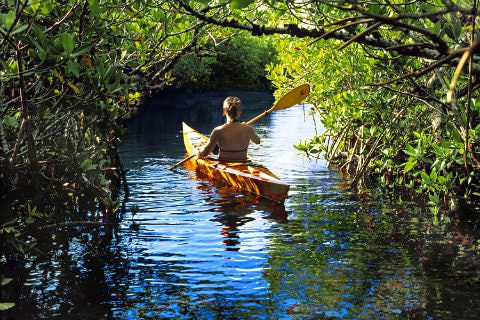 Man rowing a kayak down stream with surrounding bushes