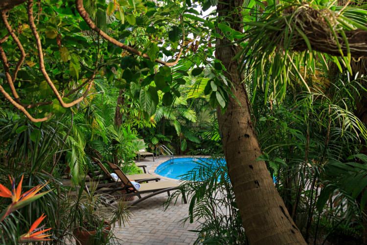 Concrete walkway surrounded by trees leading to round pool with lounge chairs on deck